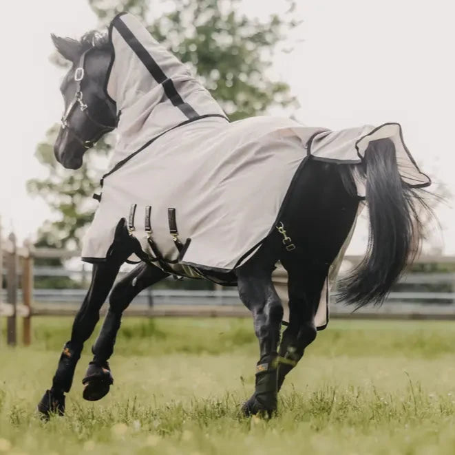 Mesh Fly Rug With Neck