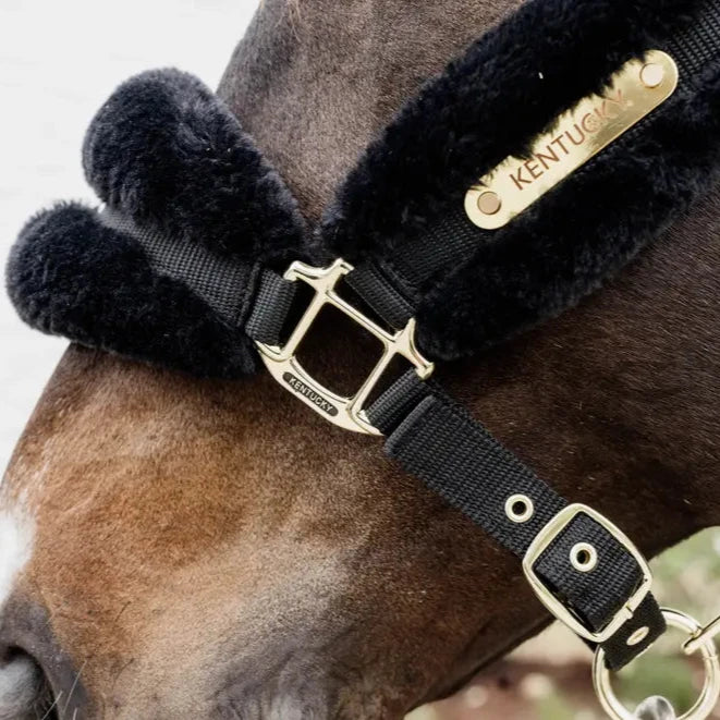 Nylon Sheepskin Headcollar Soft | Black