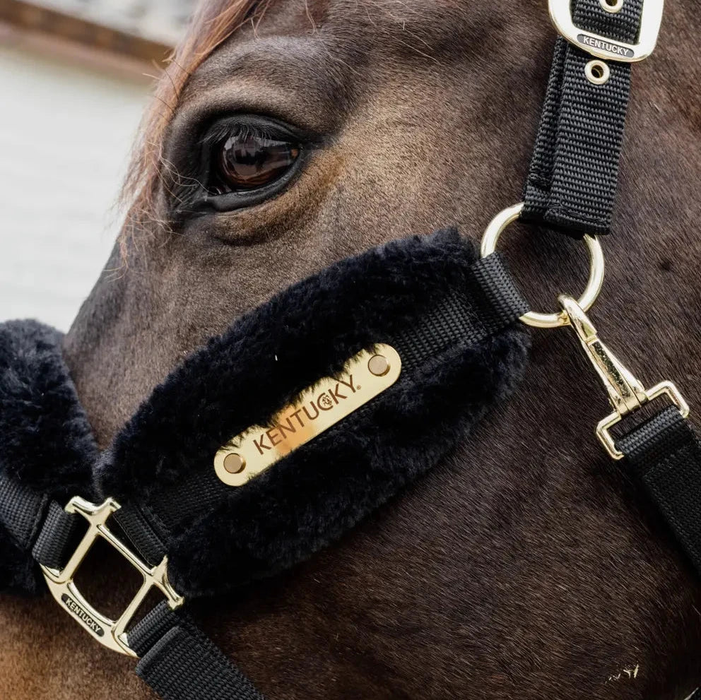 Nylon Sheepskin Headcollar Soft | Black