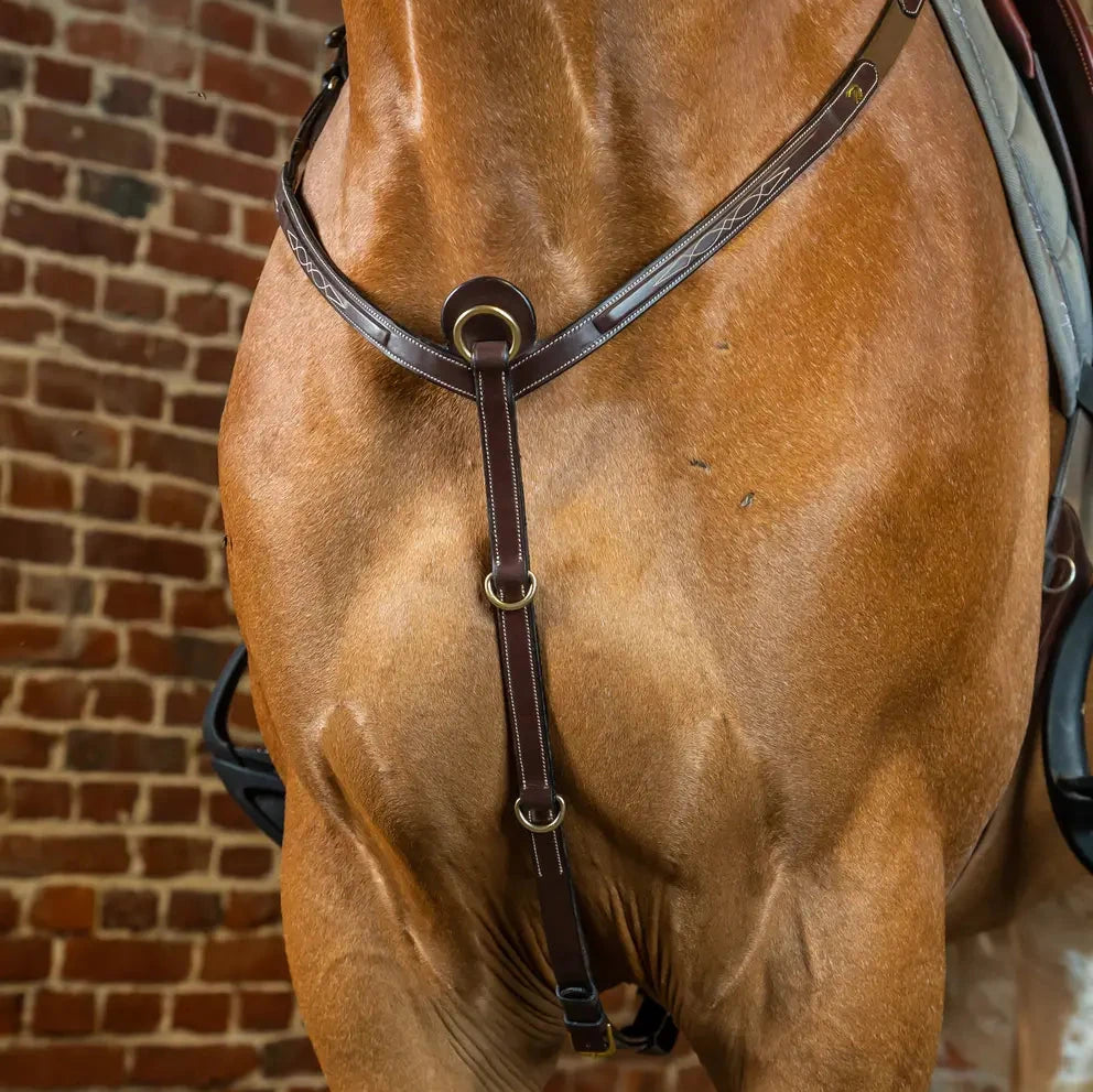 D Collection Breastplate