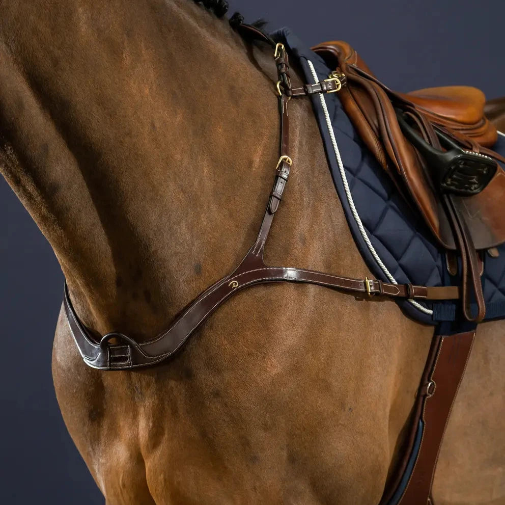 D Collection Anatomical Breastplate