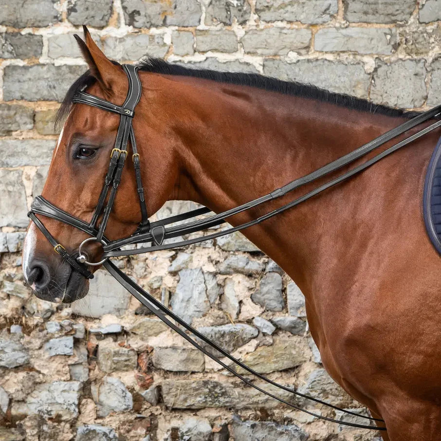 D Collection Full Leather Draw Reins