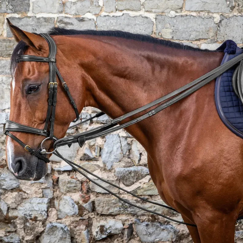 D Collection Leather/ Nylon Draw Reins