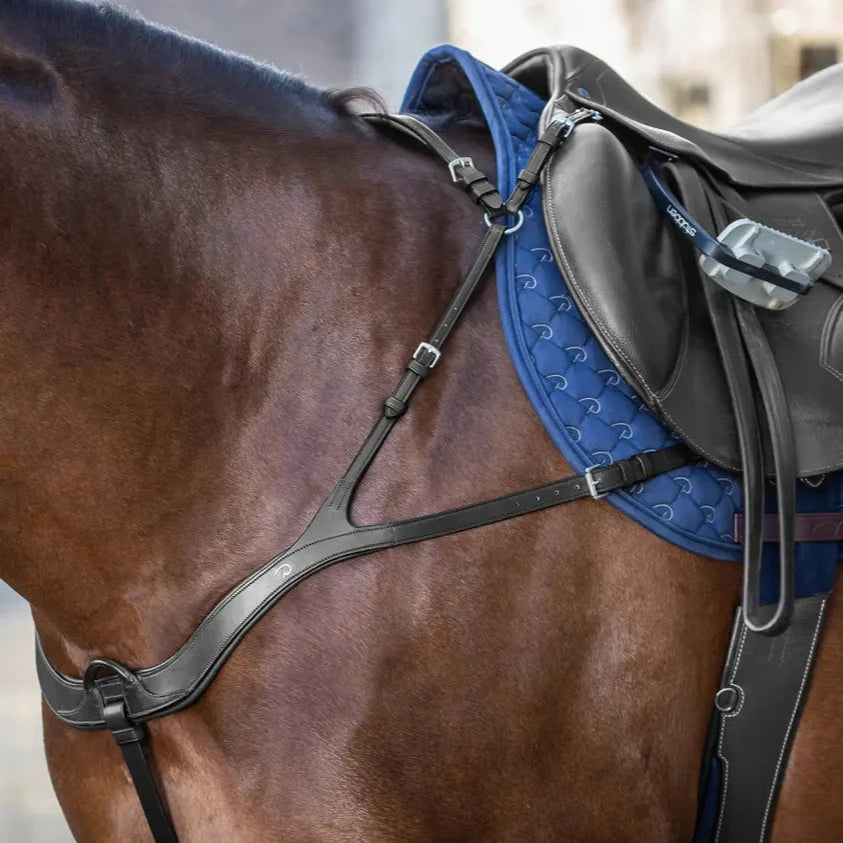 New English Anatomical Breastplate