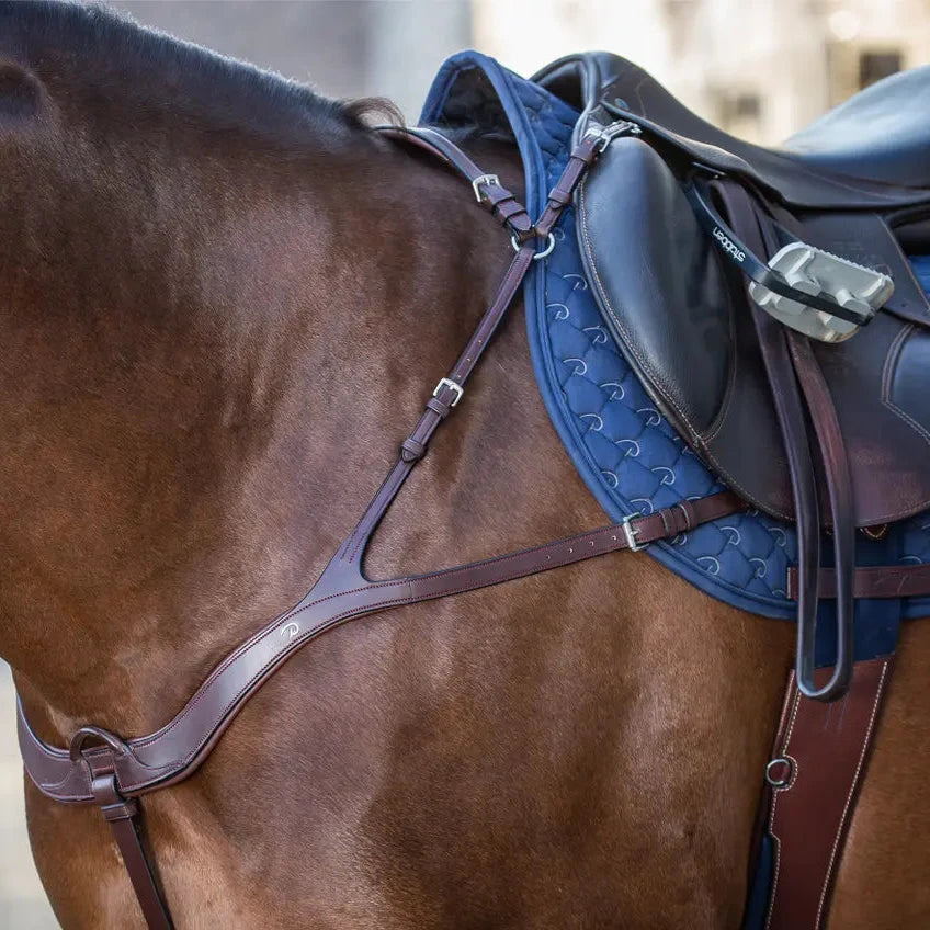 New English Anatomical Breastplate