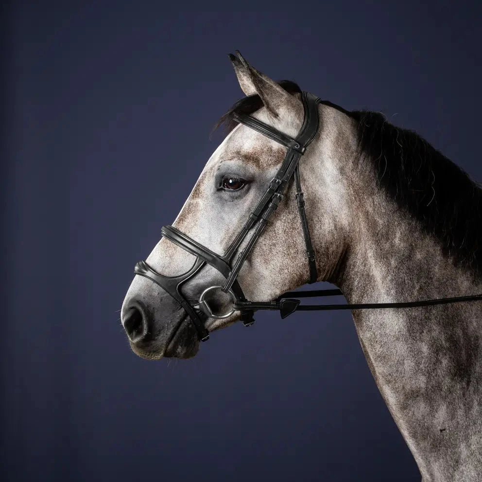 New English Double Noseband Bridle