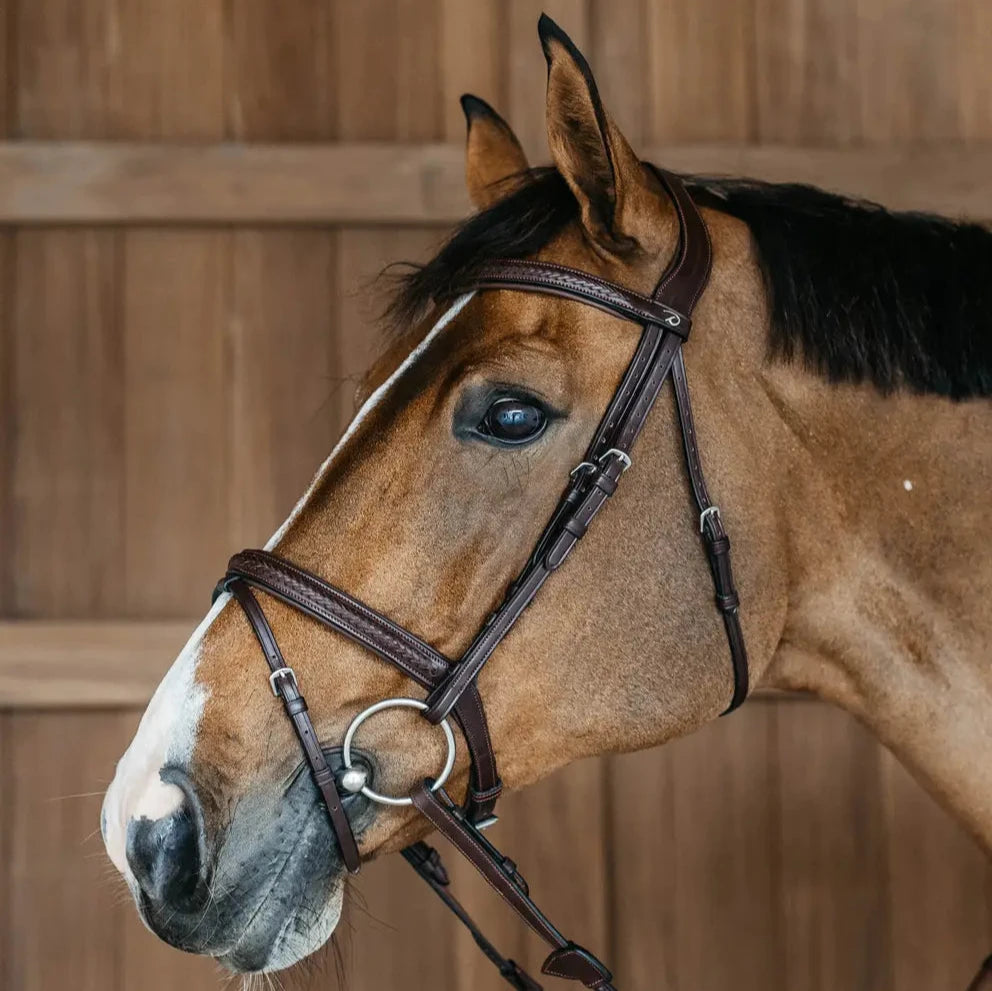 New English Plaited Flash Noseband Bridle