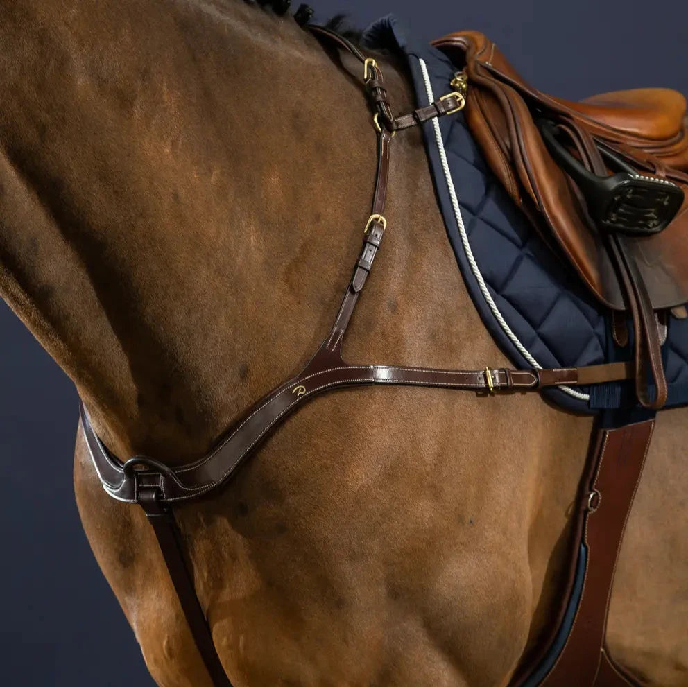 D Collection Anatomical Breastplate