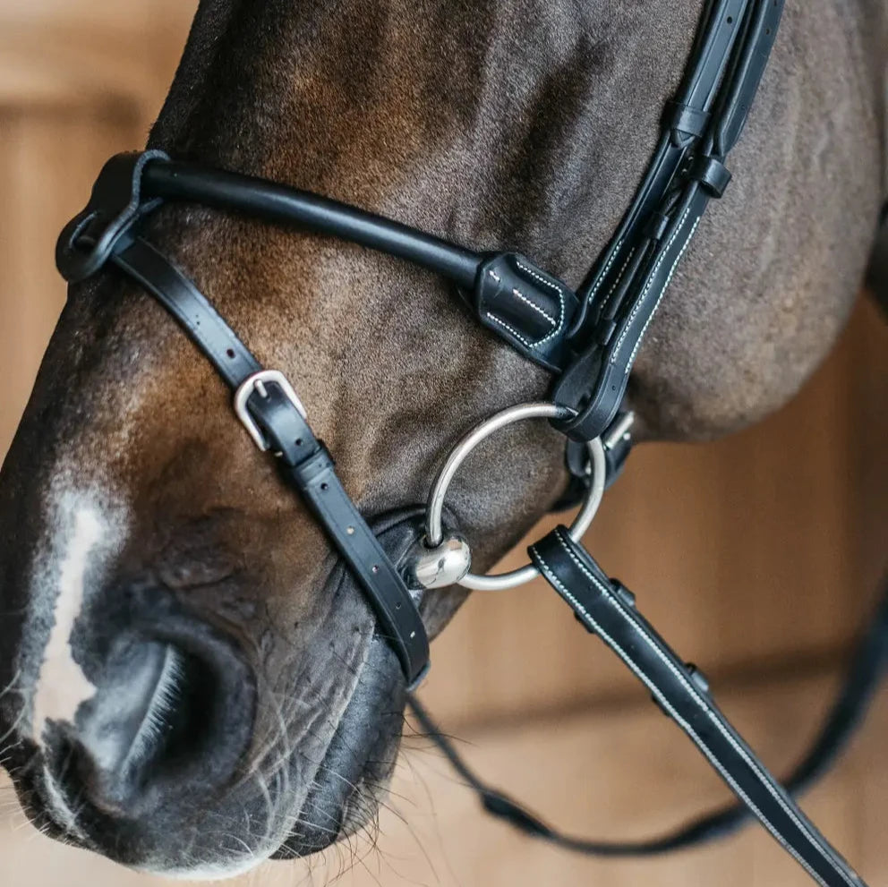 Working Collection Round Leather Bridle