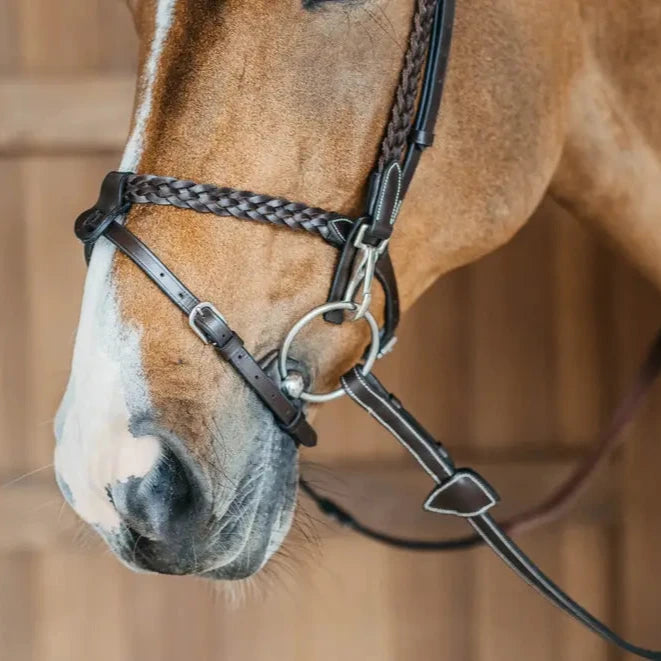 Working Collection Plaited Training Bridle