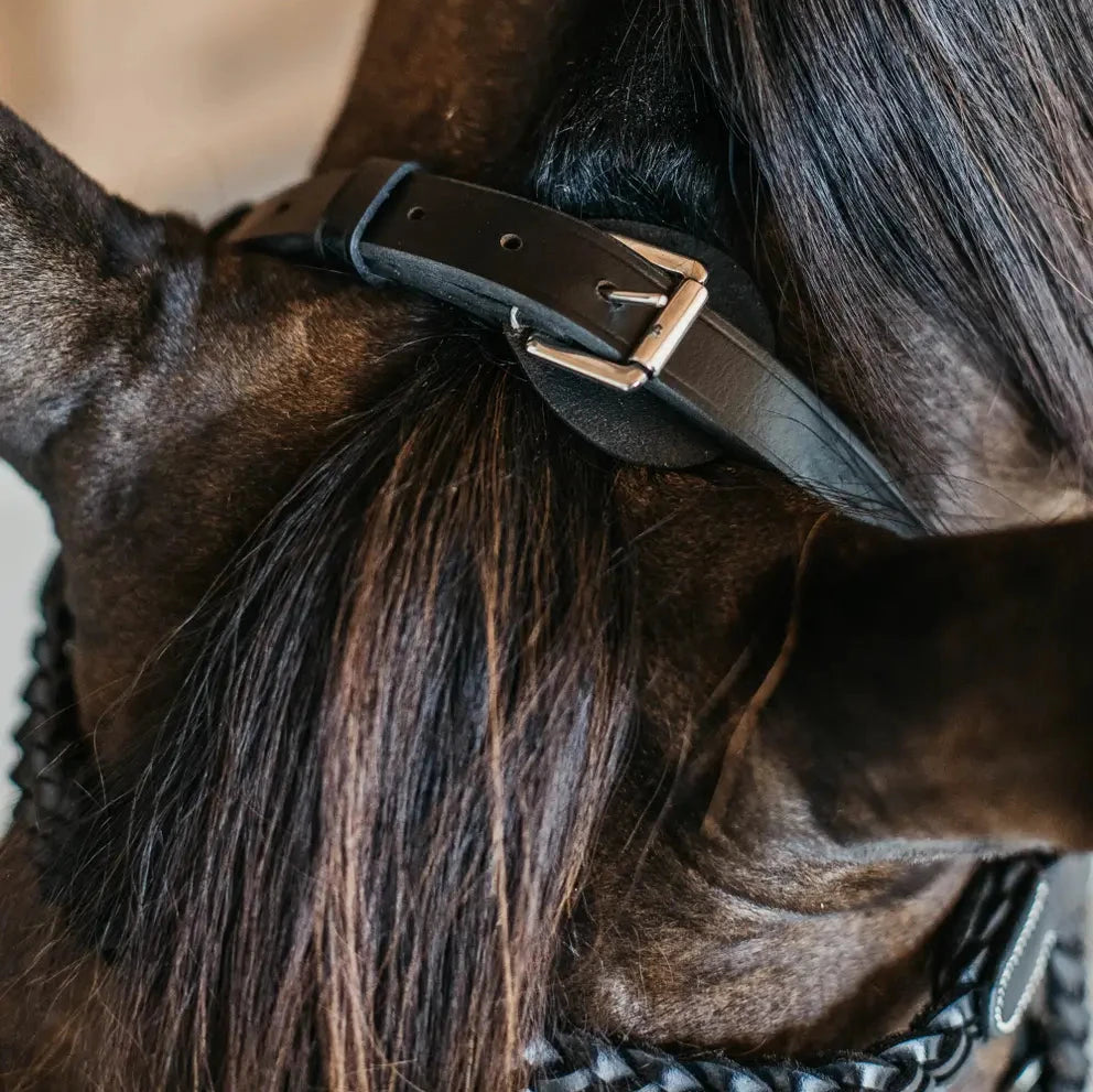 Working Collection Plaited Training Bridle