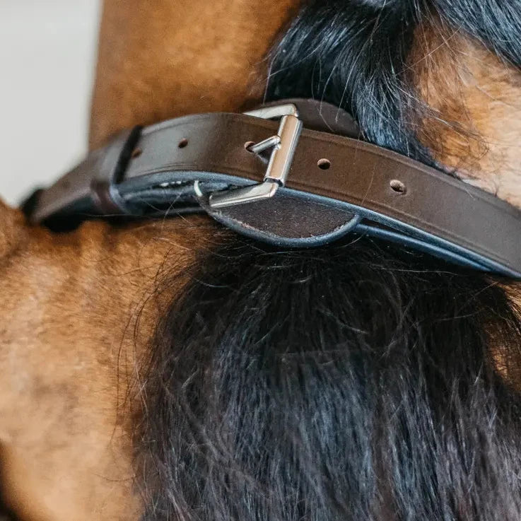 Working Collection Plaited Training Bridle