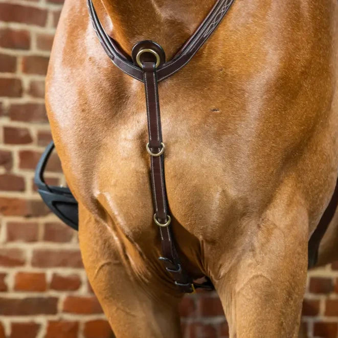 D Collection Bridge Breastplate