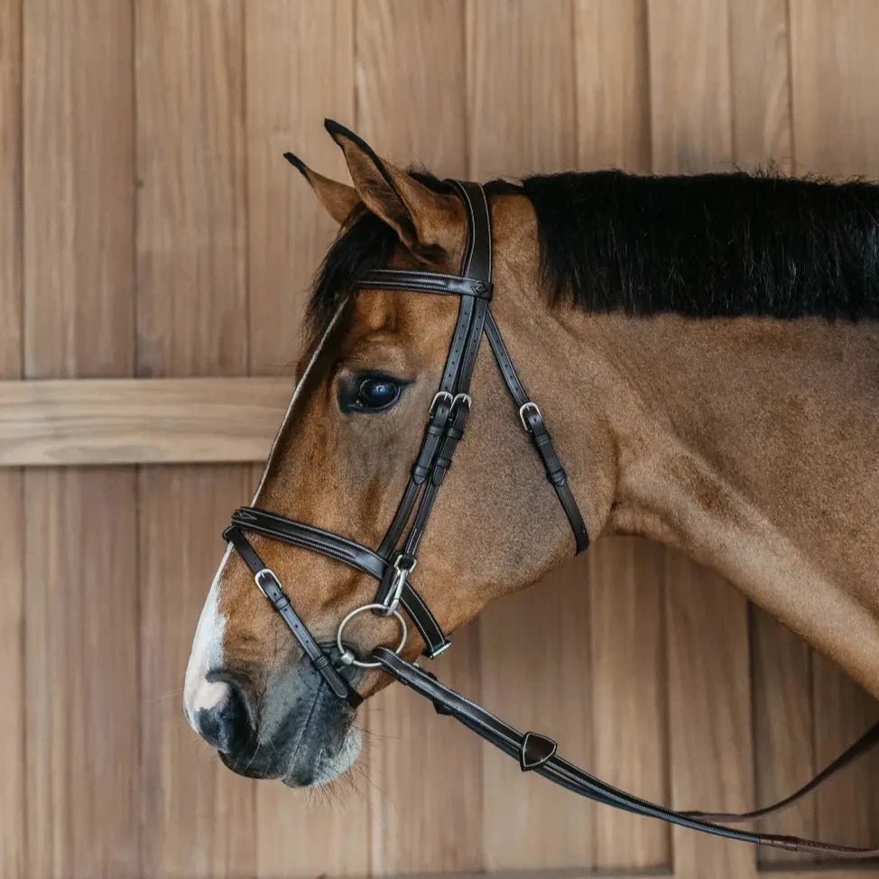 Working Collection Flash Noseband Bridle with Snap Cheekpieces