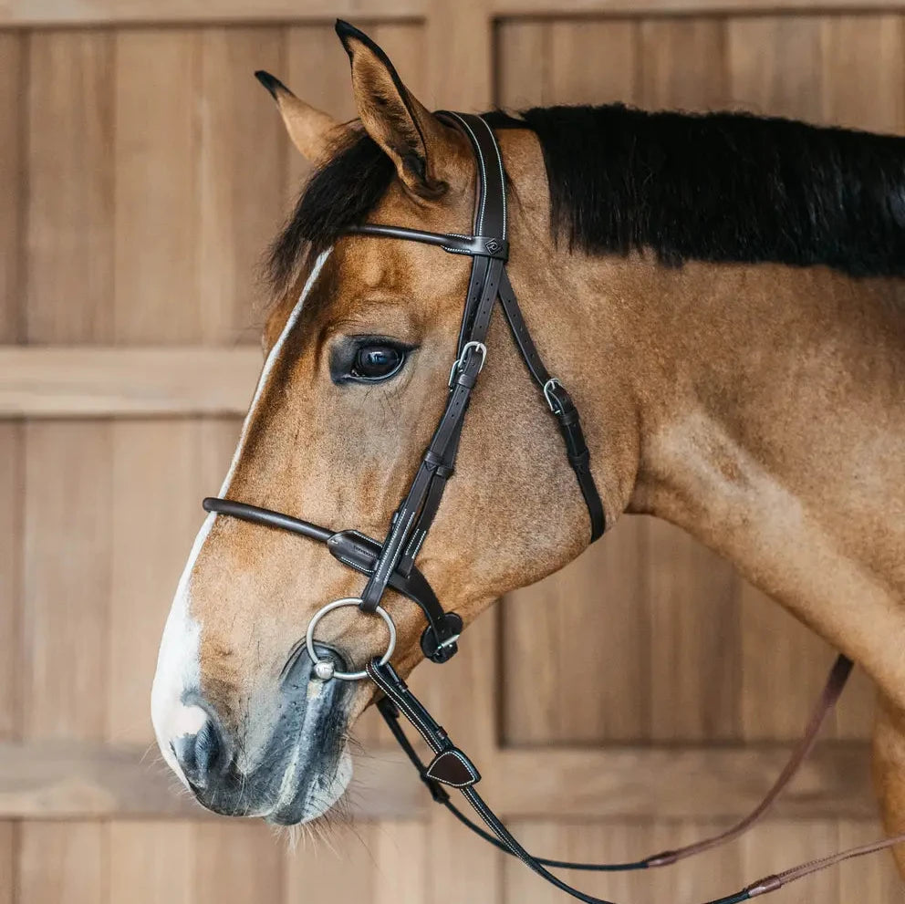 Working Collection Round Leather Bridle