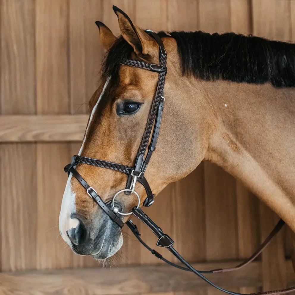 Working Collection Plaited Training Bridle