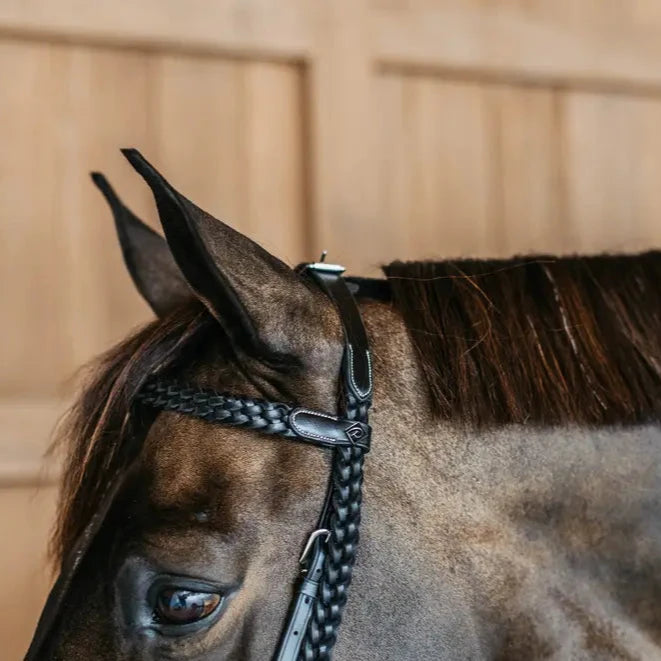 Working Collection Plaited Training Bridle
