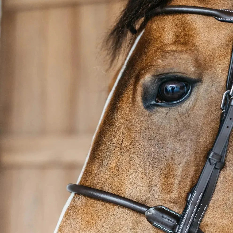 Working Collection Round Leather Bridle