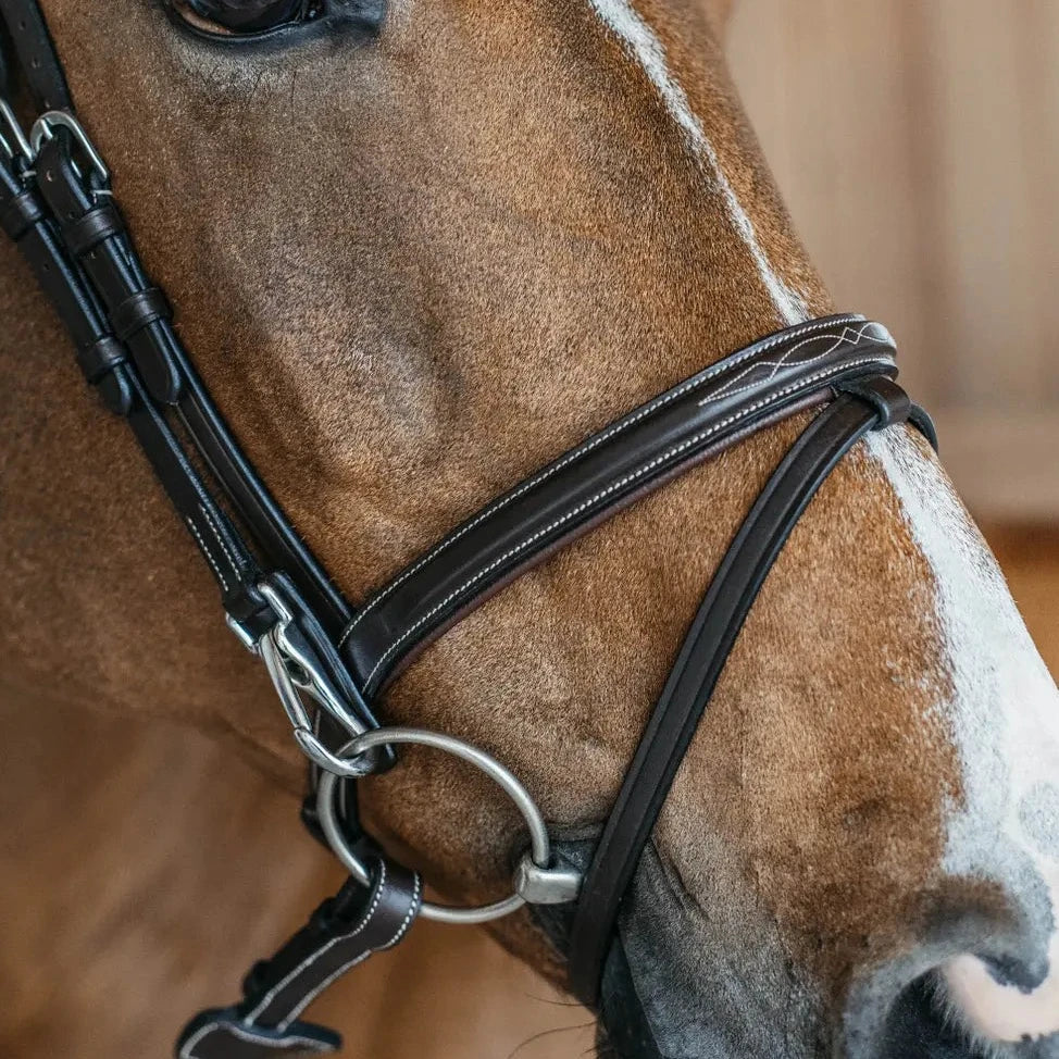 Working Collection Flash Noseband Bridle with Snap Cheekpieces