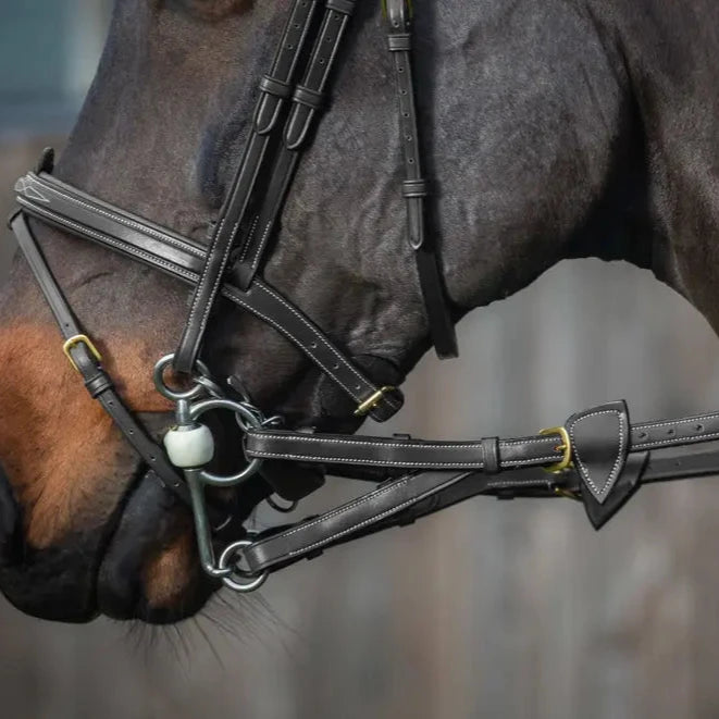 D Collection Converter Reins