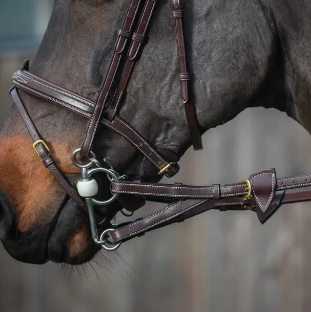 D Collection Converter Reins