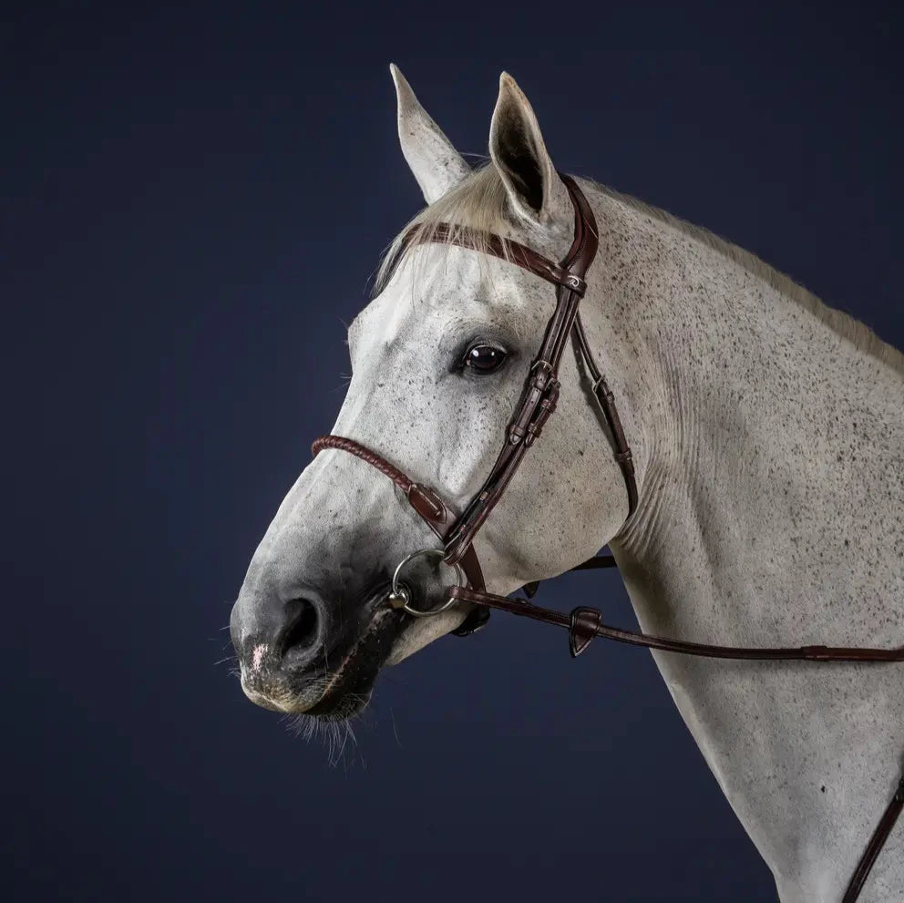 New English Leather Covered Rope Noseband Bridle