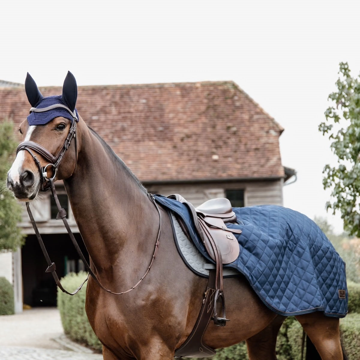 Riding Rug | Navy