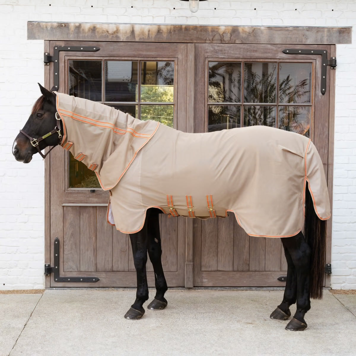 Mesh Fly Rug Comfort