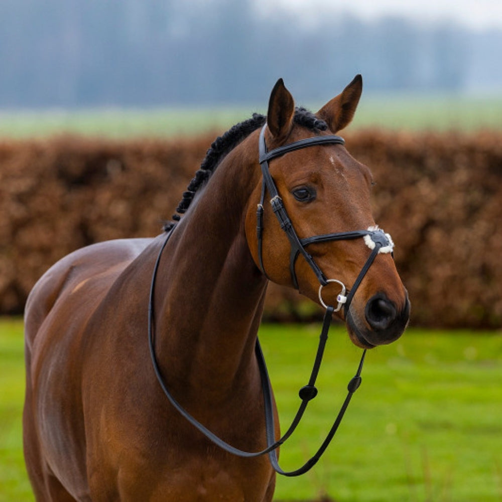 Oslo Fig 8 Noseband Bridle