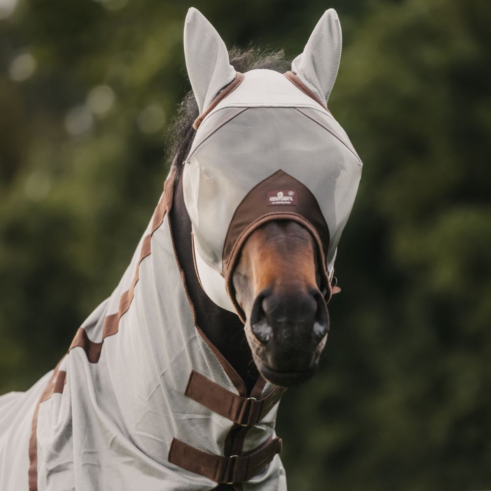 Mesh Fly Rug Classic With Neck