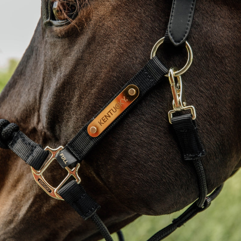 Control Headcollar | Black