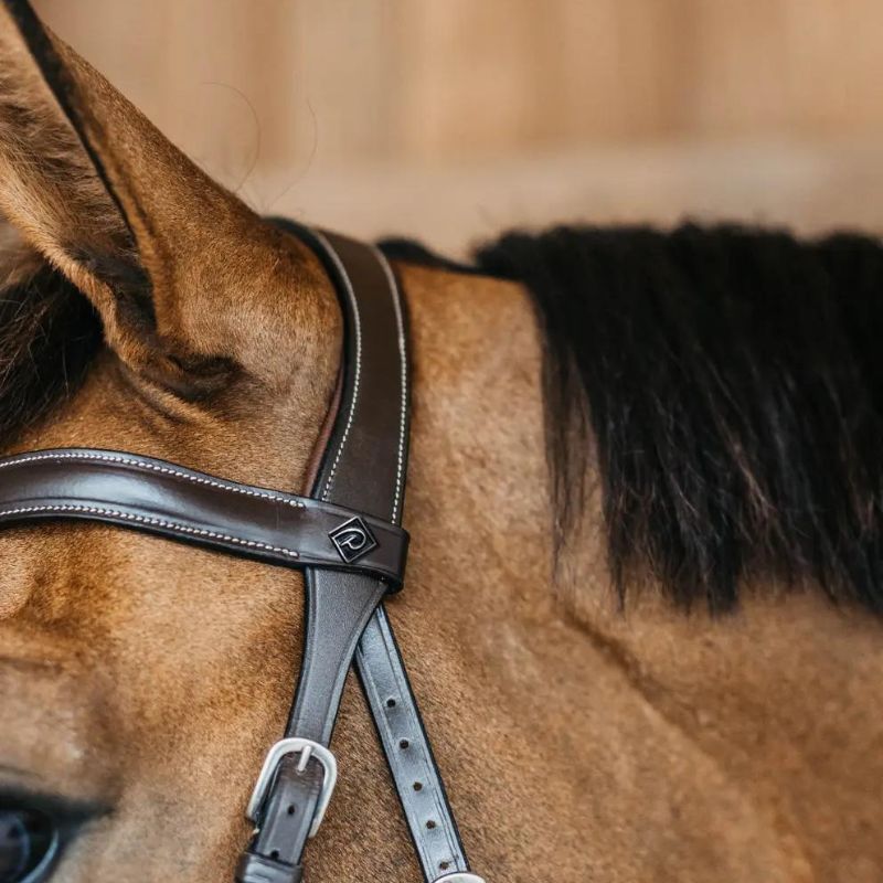 Working Collection Bitless Bridle