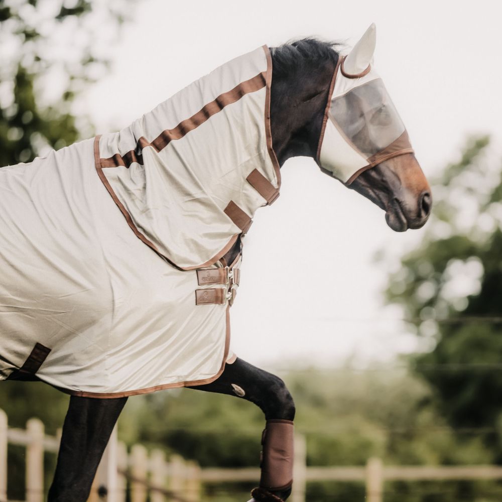 Mesh Fly Rug Classic With Neck