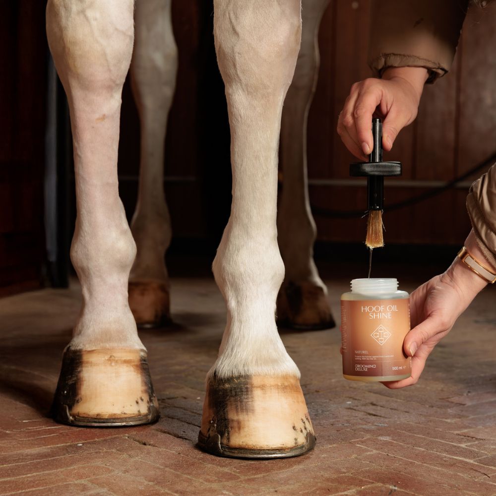 Hoof Oil Shine | Natural
