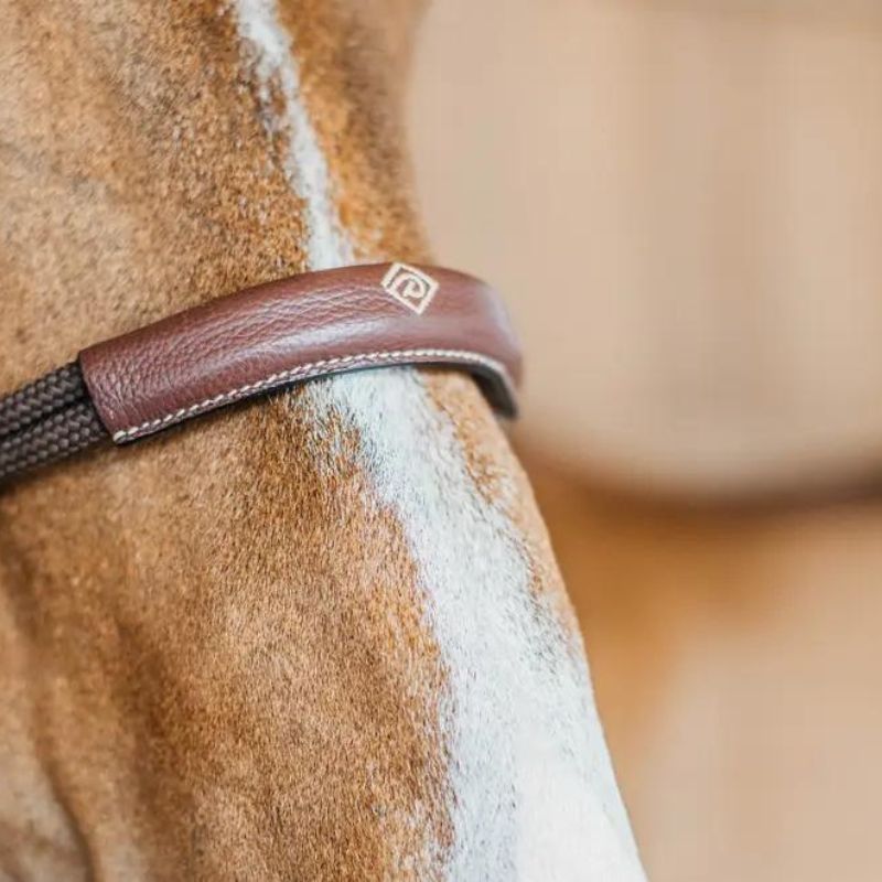 Working Collection Bitless Bridle