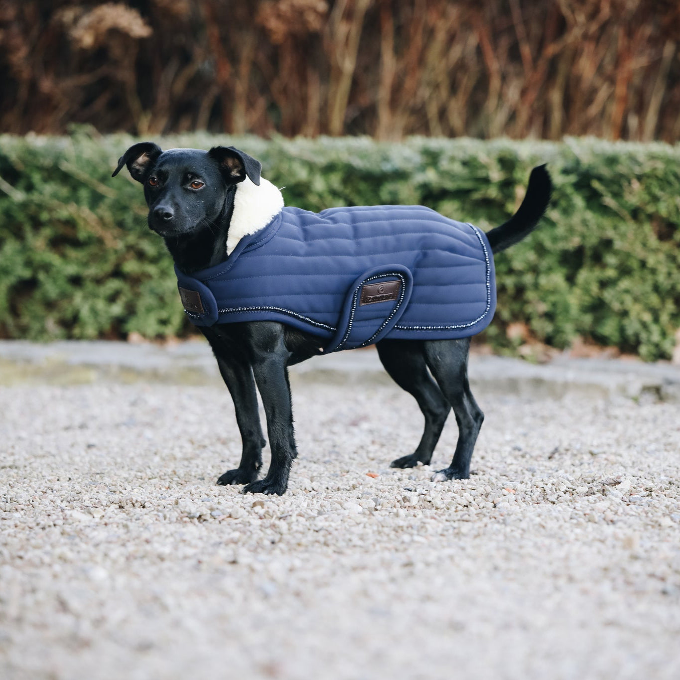 Dog Coat Pearls | Navy (LAST ONE - MEDIUM)