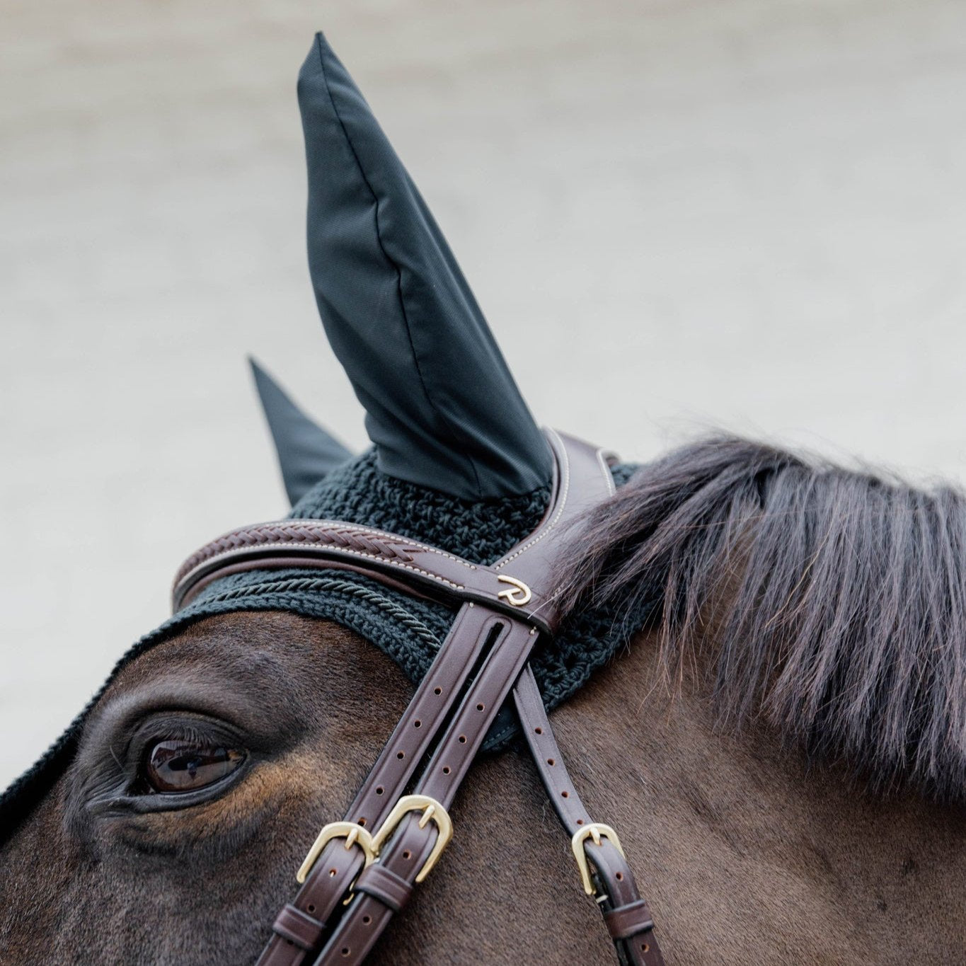 D Collection Plaited Flash Noseband Bridle