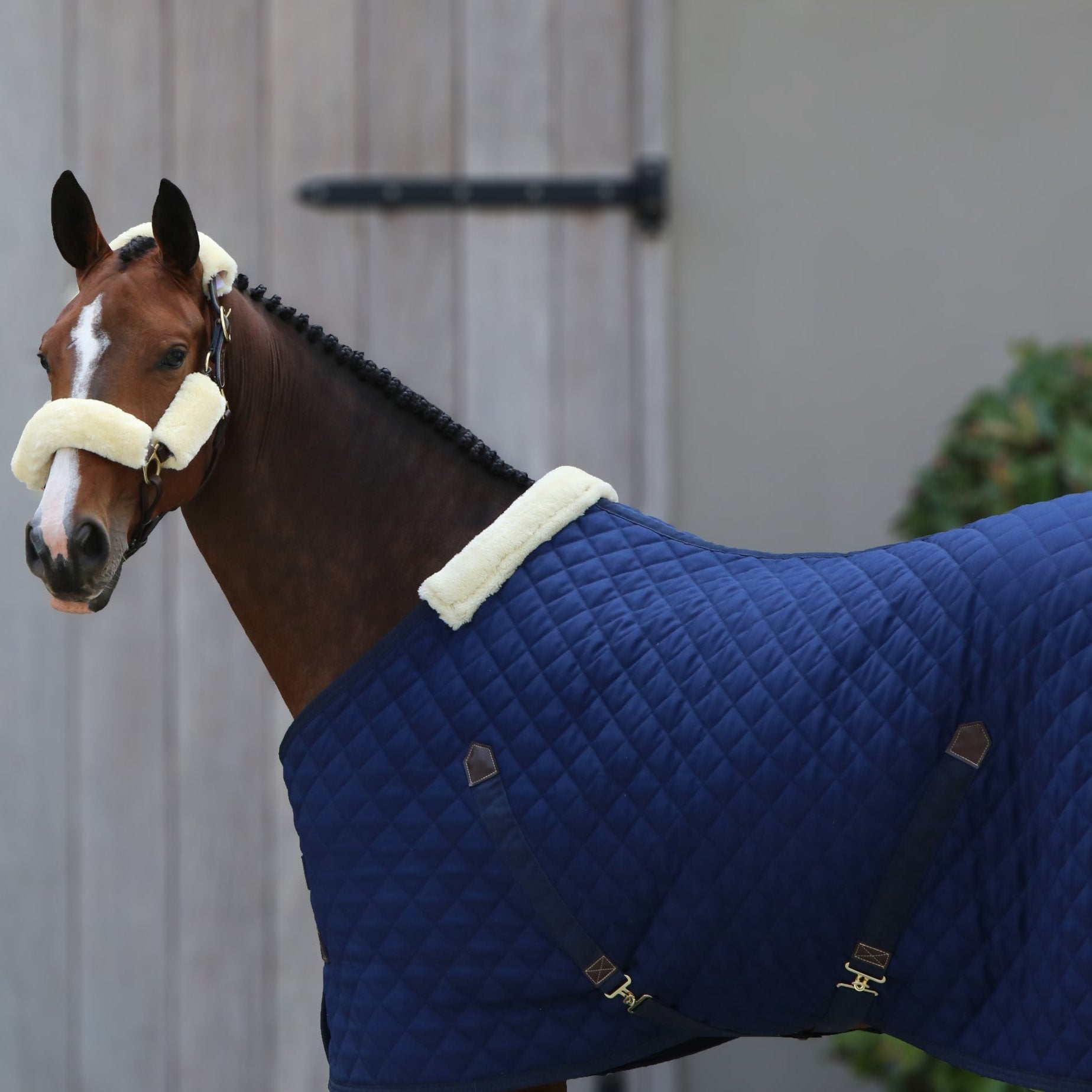 Stable Rug - Navy
