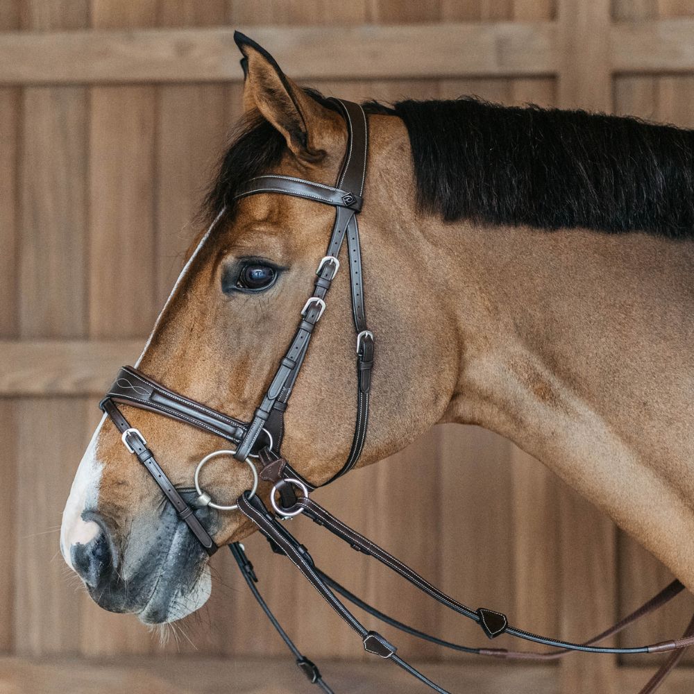 Working Collection Motion Bridle