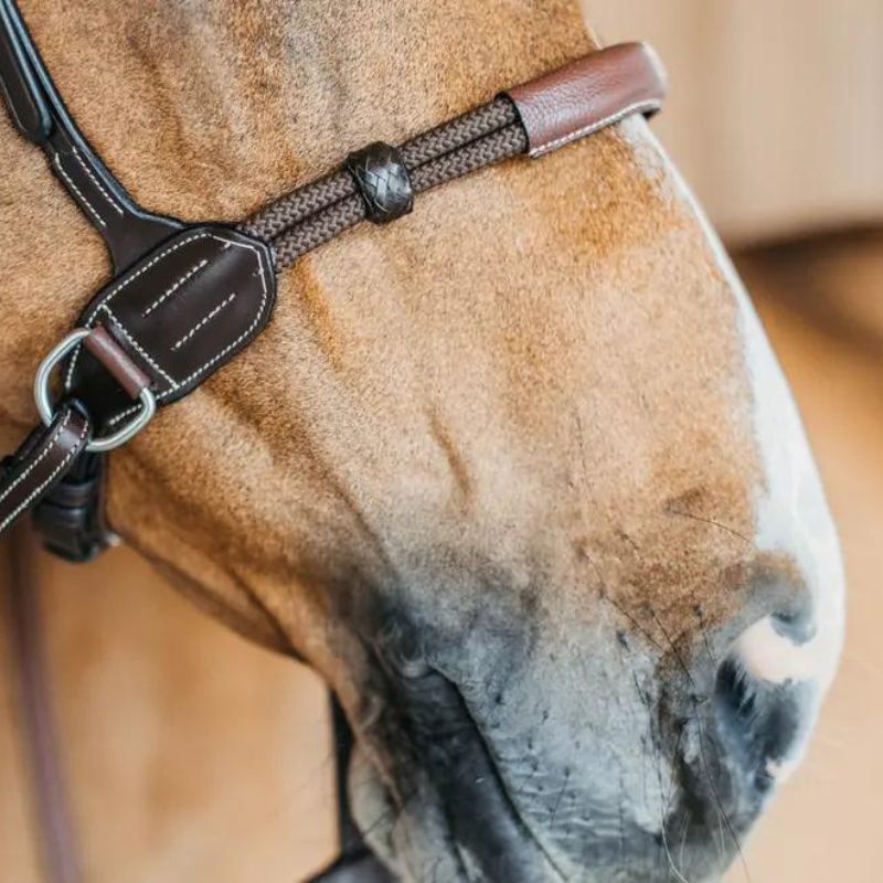 Working Collection Bitless Bridle