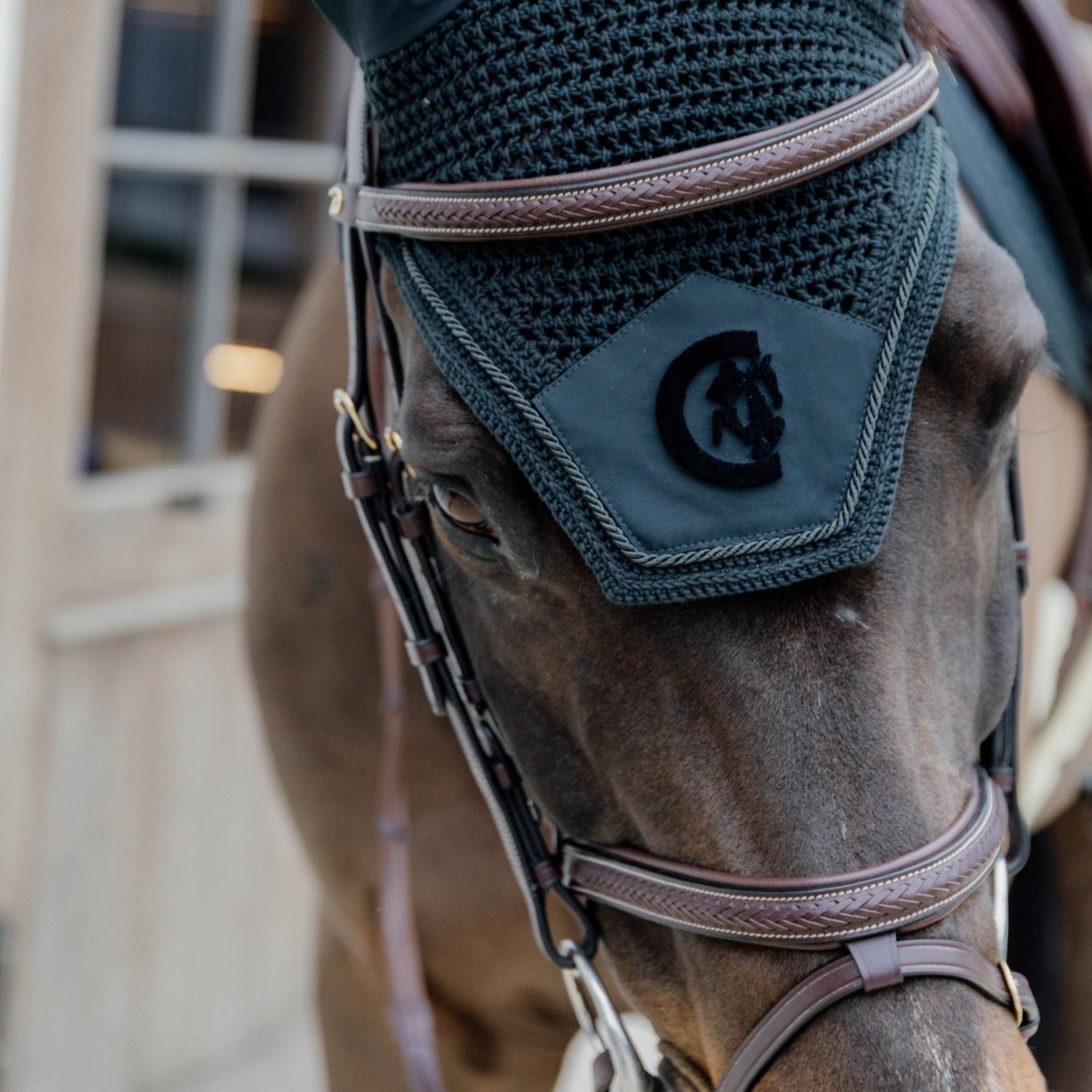 D Collection Plaited Flash Noseband Bridle