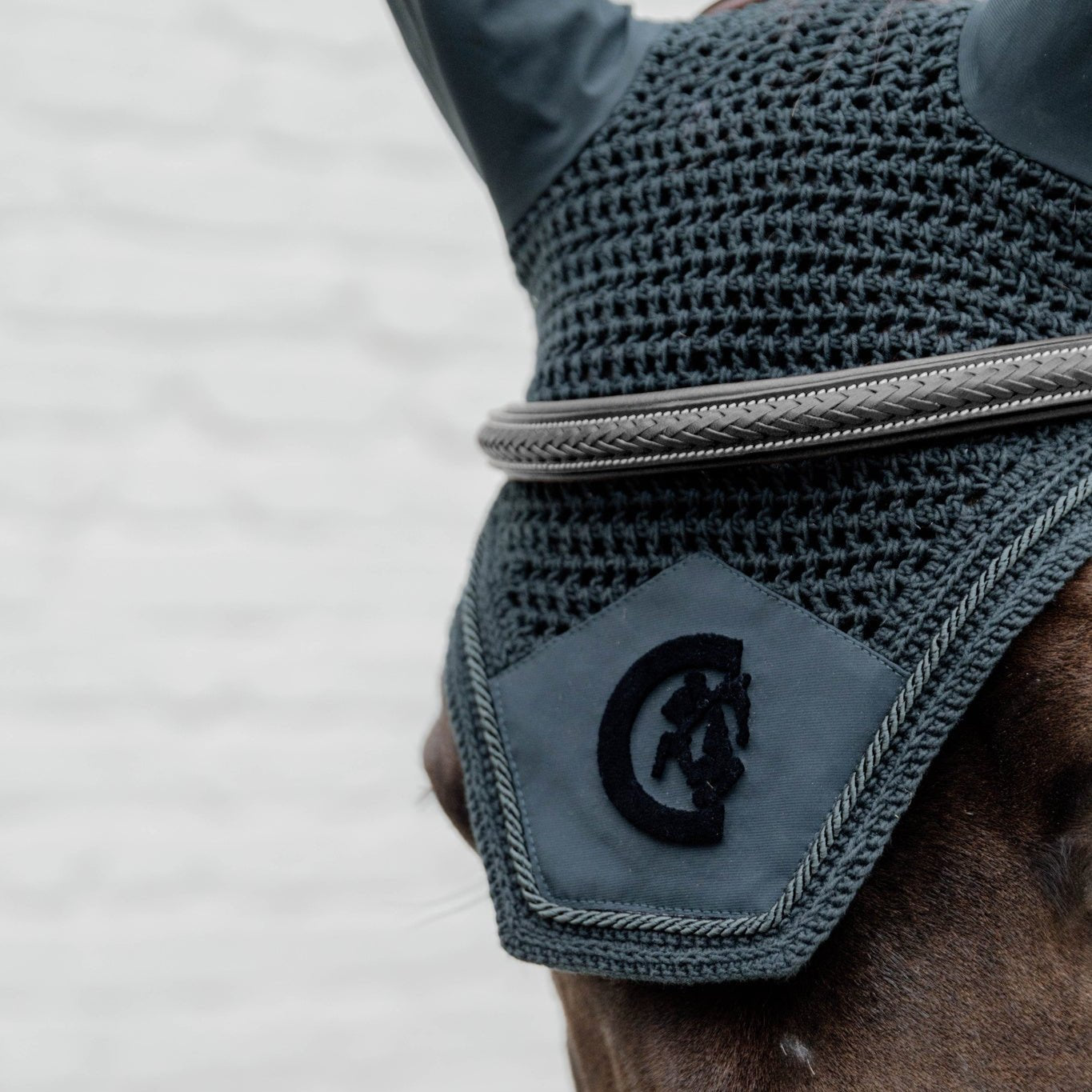 D Collection Plaited Flash Noseband Bridle