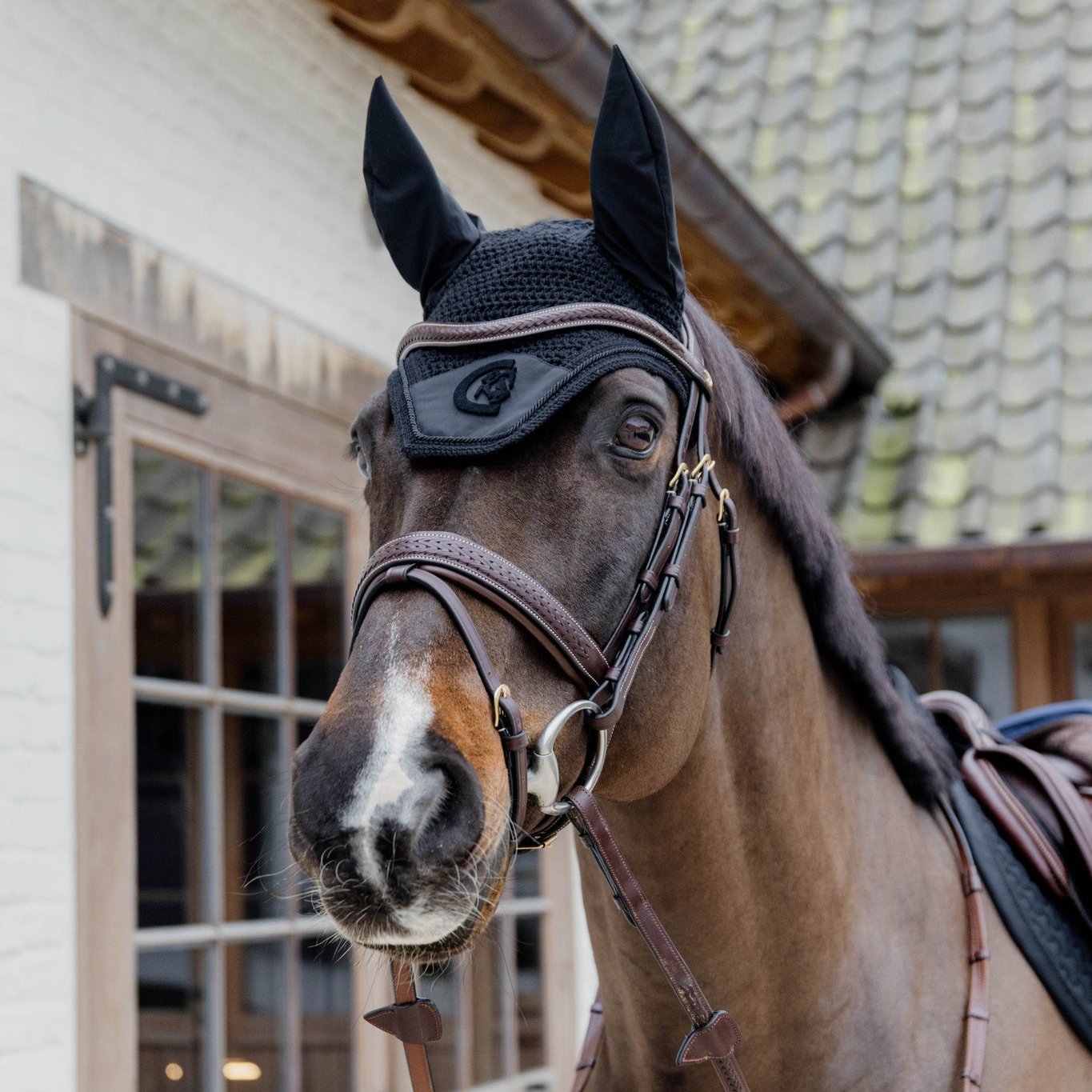 D Collection Plaited Flash Noseband Bridle with Pull Back