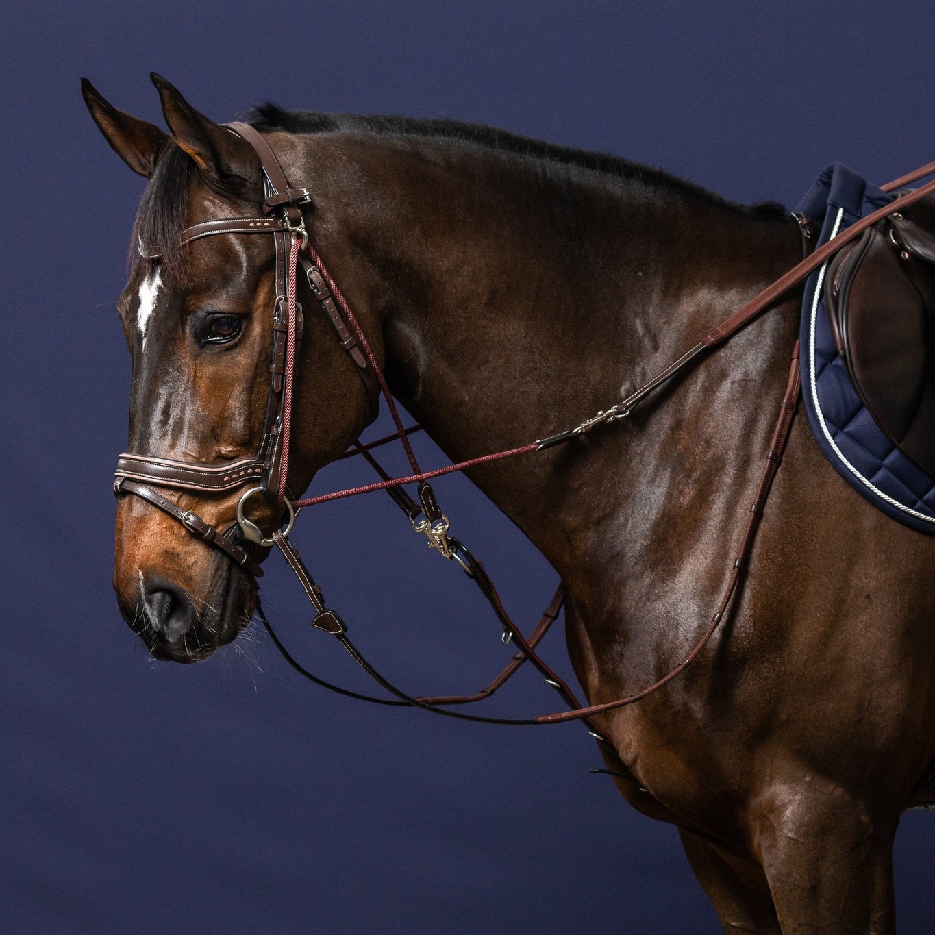 Working Collection Gogue Reins