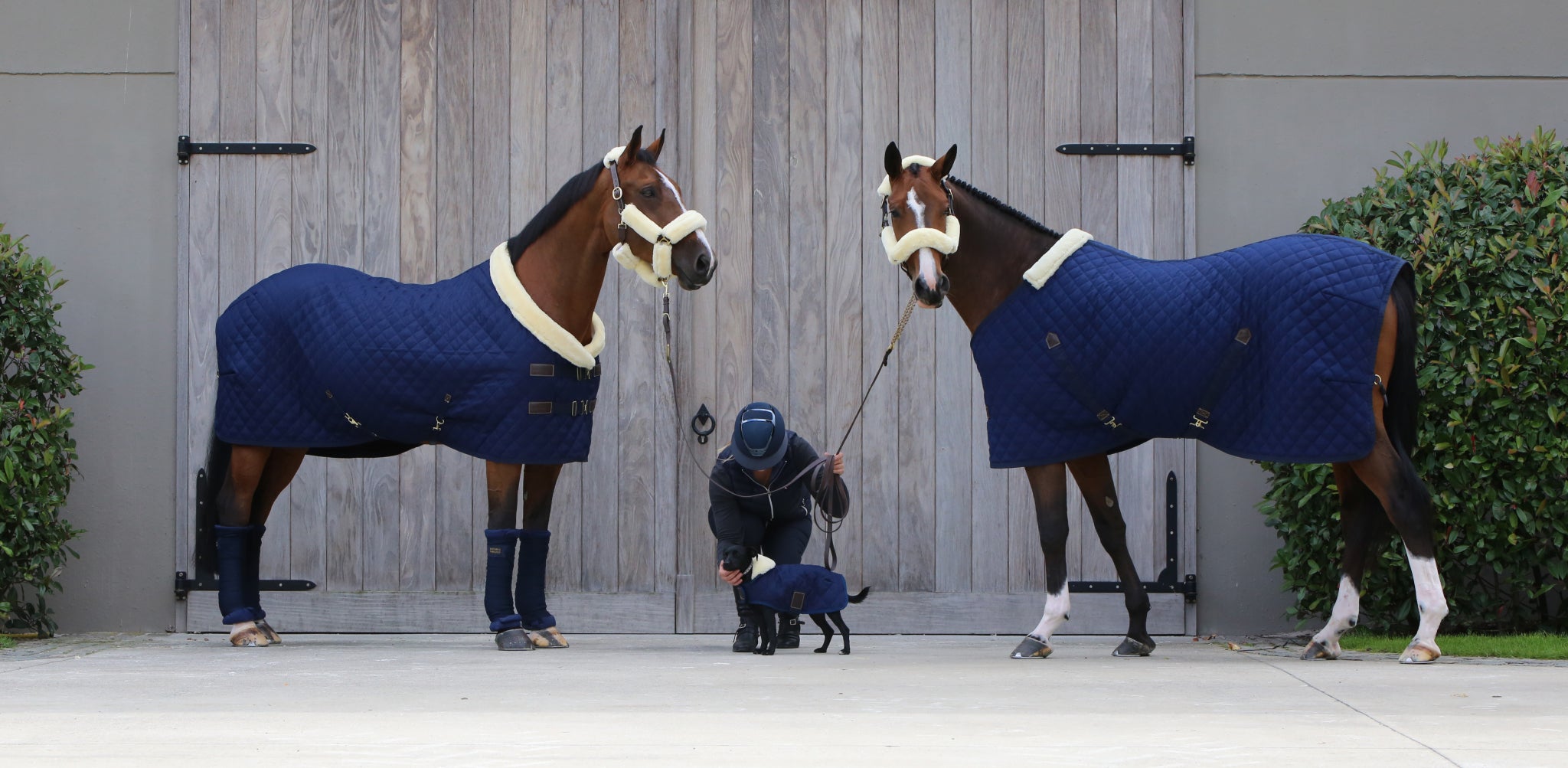 Stable Rug - Navy