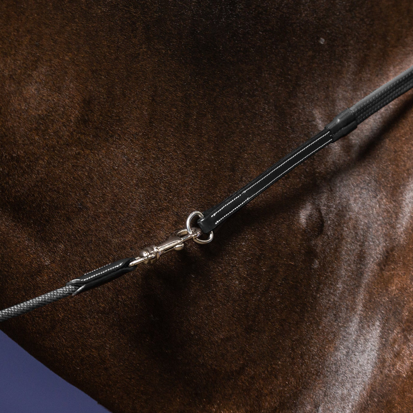 Working Collection Gogue Reins