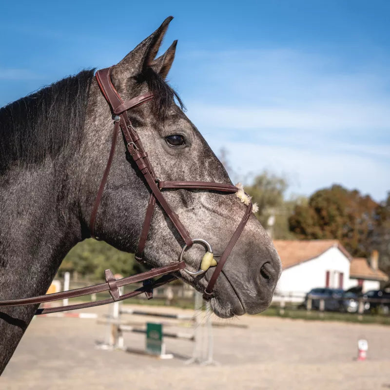 Fig 8 Noseband Bridle