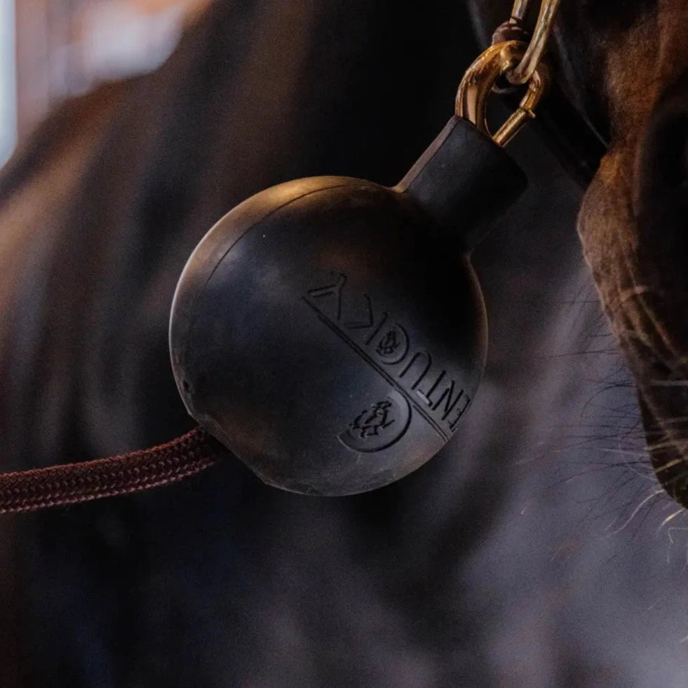 Rubber Ball Protection Lead & Wall