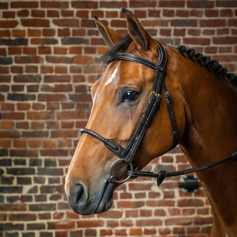 product shot image of the Leather Covered Rope Noseband Bridle