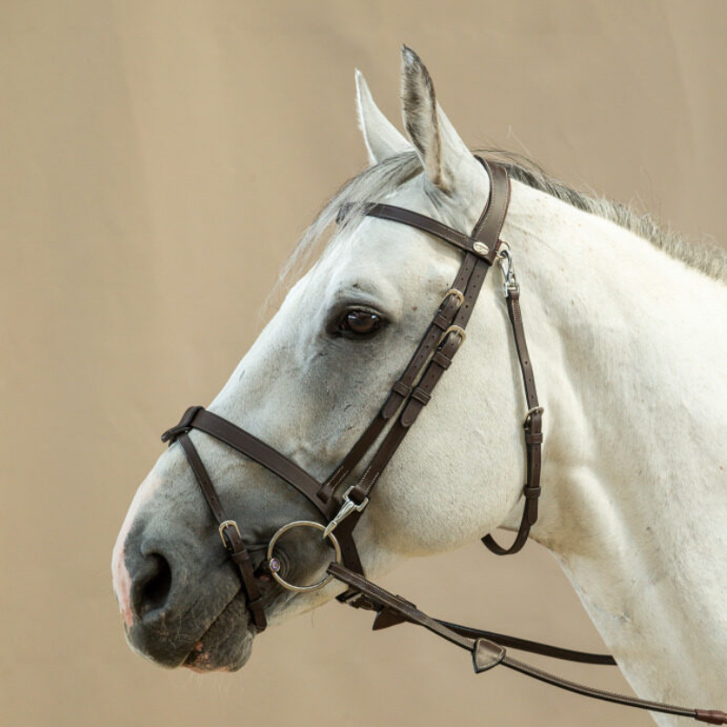 product shot image of the Working Flat Leather Bridle with Snap Hooks